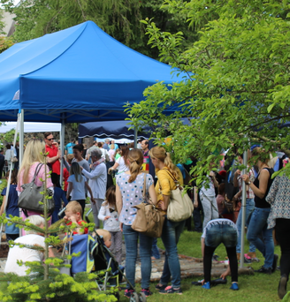 Blue 6x3 gazebo in a park at a folk festival